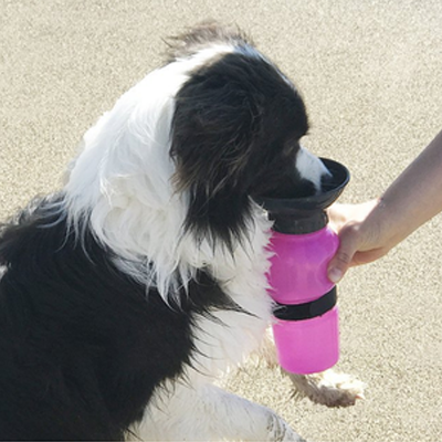 Dog Mug