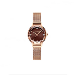 Women's Fashionable Waterproof Steel Strip Quartz Watch